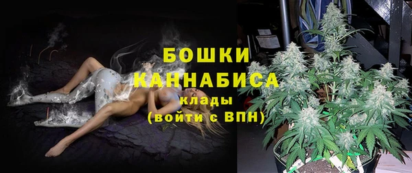 стафф Покровск