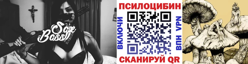 где можно купить   Беломорск  Галлюциногенные грибы прущие грибы 
